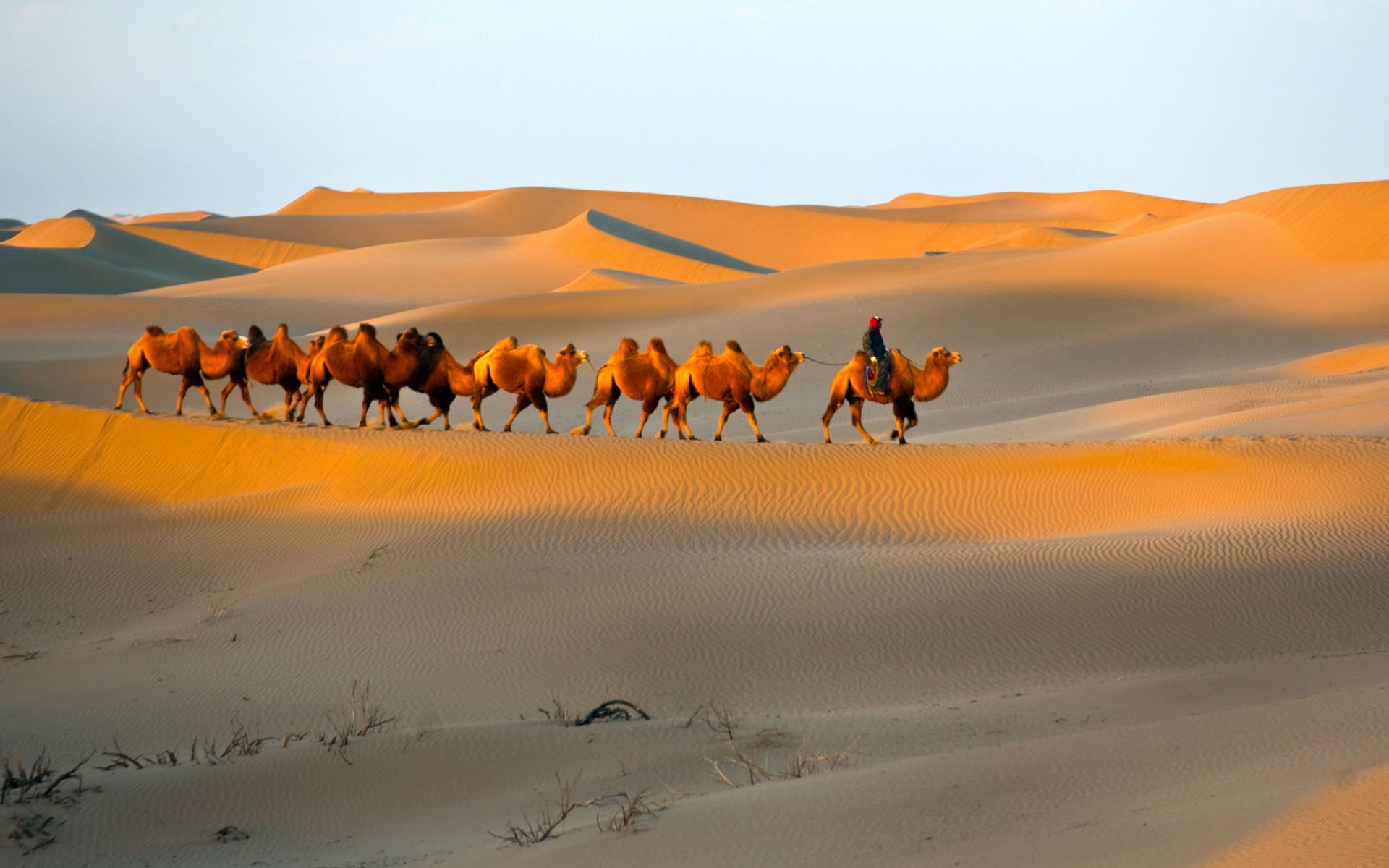 The Grand Tour along the Silk Road, from Xi'an to Kashgar (19 days)
